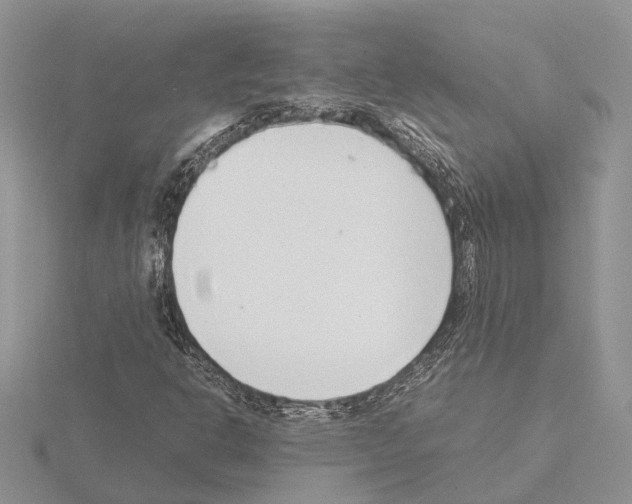 X0000115141302200912081317