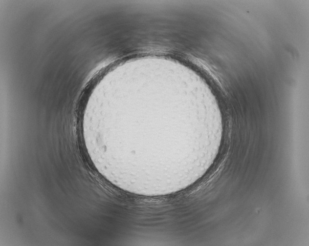 X0000115141307200912081317