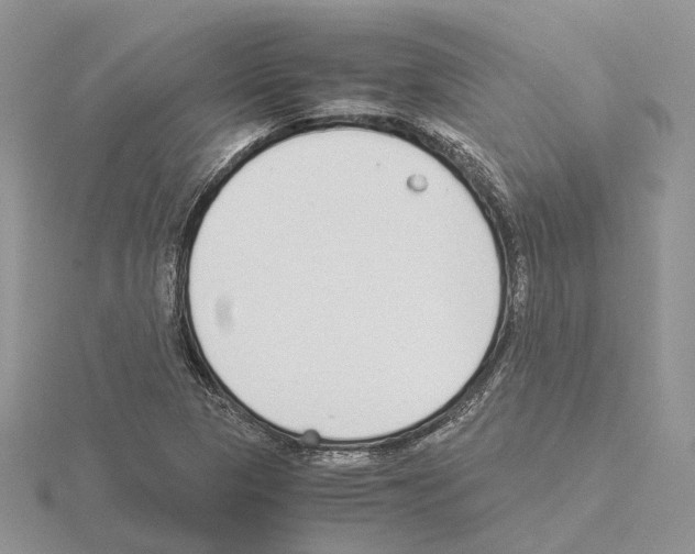 X0000115141313200912081317