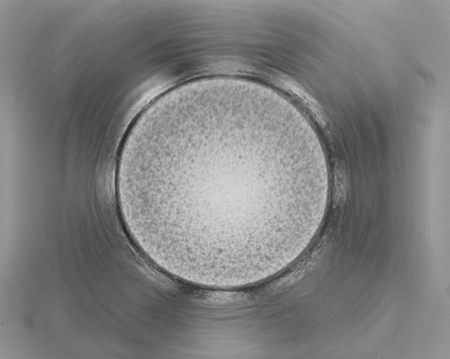 X0000115141322200912081317