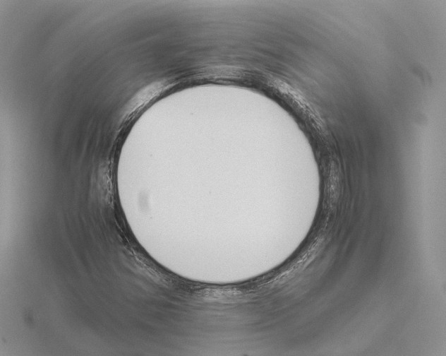 X0000115141354200912081317