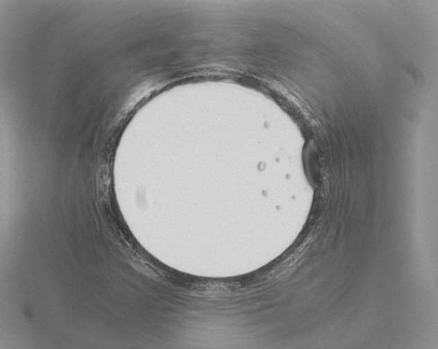X0000115141355200912081317