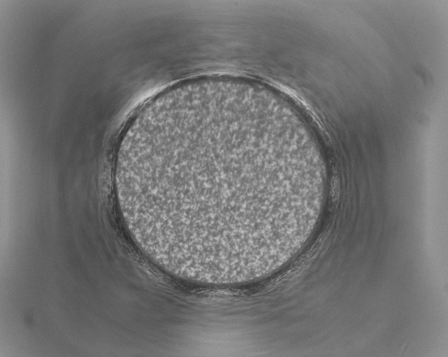 X0000115141359200912081317