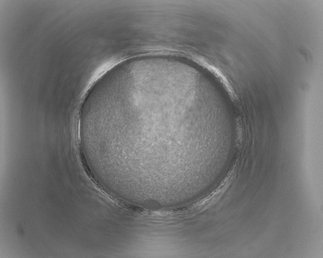 X0000115141365200912081317