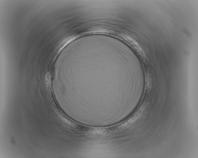 X0000115141369200912081317