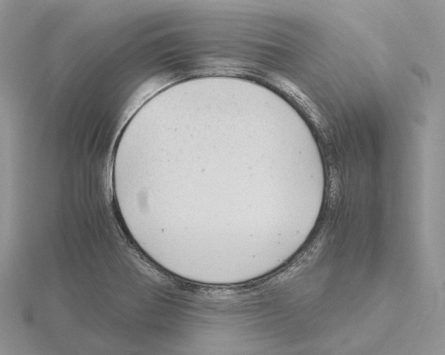 X0000115141370200912081317