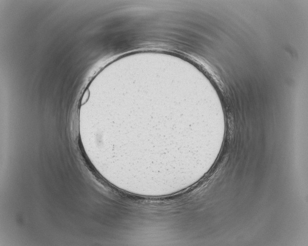 X0000115141371200912081317