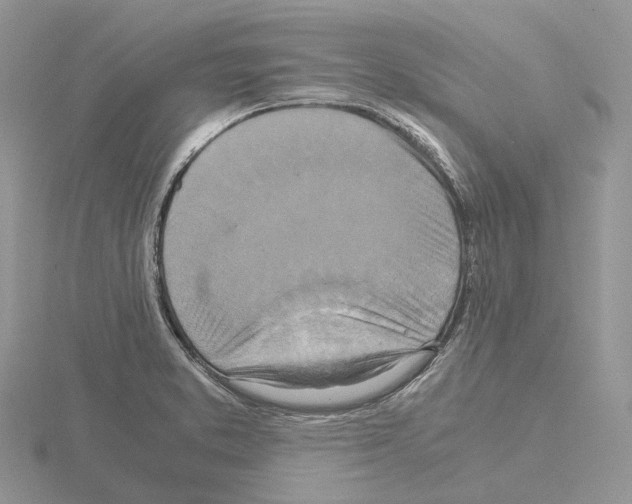 X0000115141373200912081317