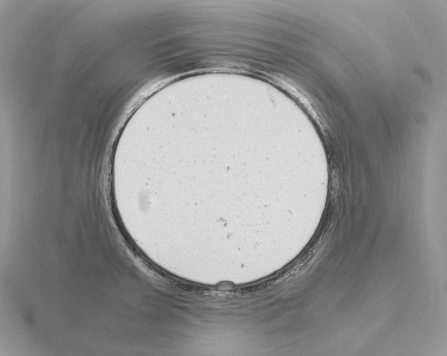X0000115141379200912081317