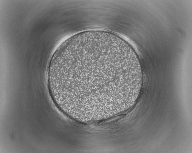 X0000115141383200912081317