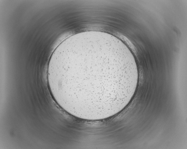 X0000115141386200912081317