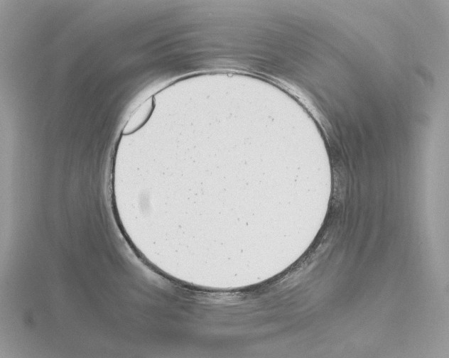 X0000115141387200912081317