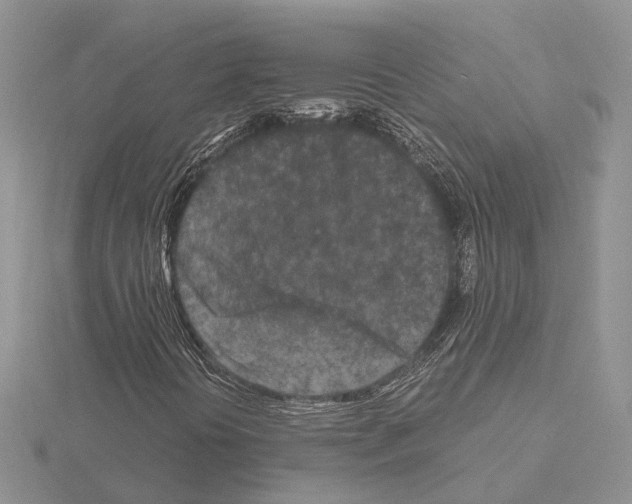 X0000115141394200912081316