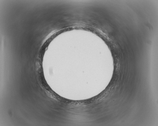 X0000115141400200912081316