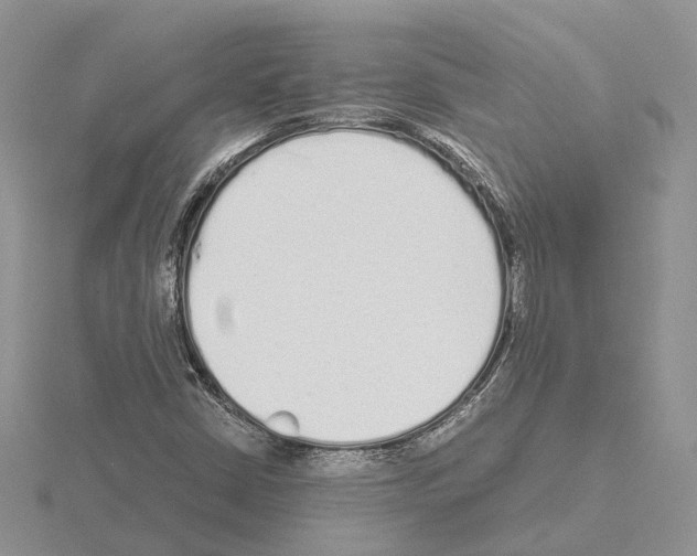 X0000115141402200912081316