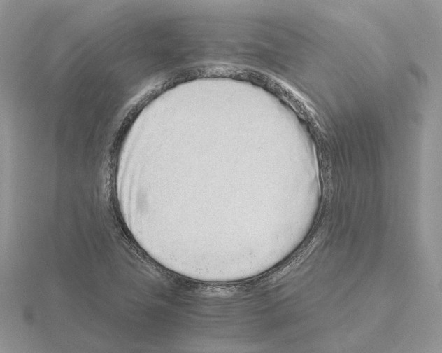 X0000115141411200912081316