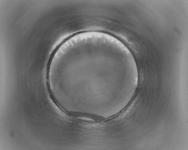 X0000115141422200912081316
