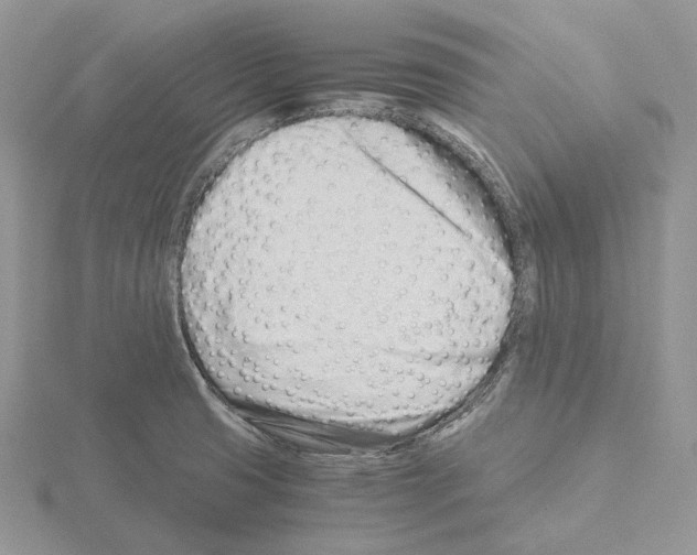 X0000115141425200912081316