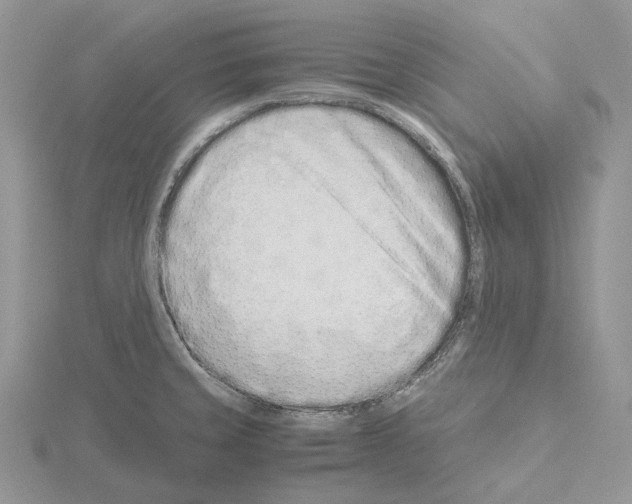 X0000115141429200912081316