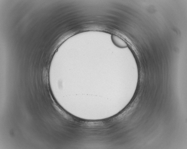 X0000115141433200912081316