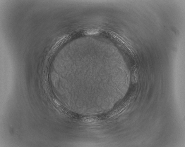 X0000115141441200912081316