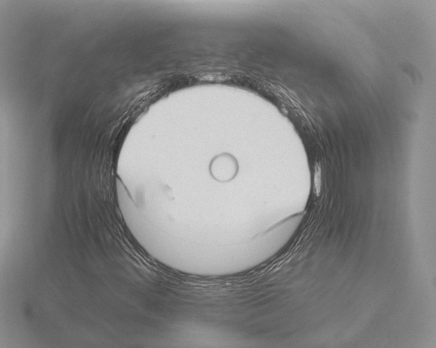 X0000115141444200912081316