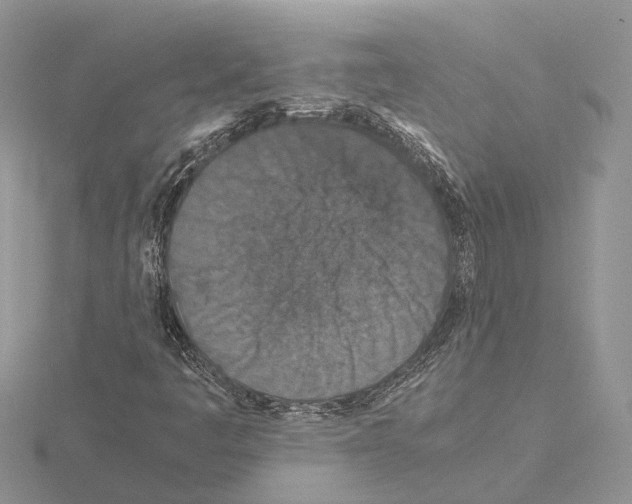X0000115141445200912081316