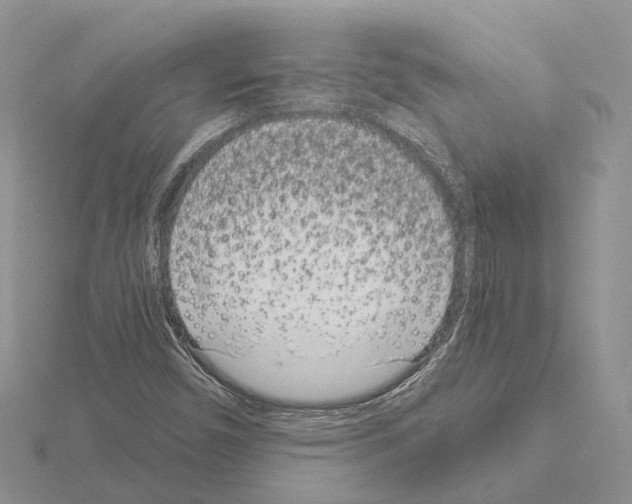X0000115141450200912081316