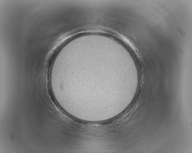 X0000115141456200912081316
