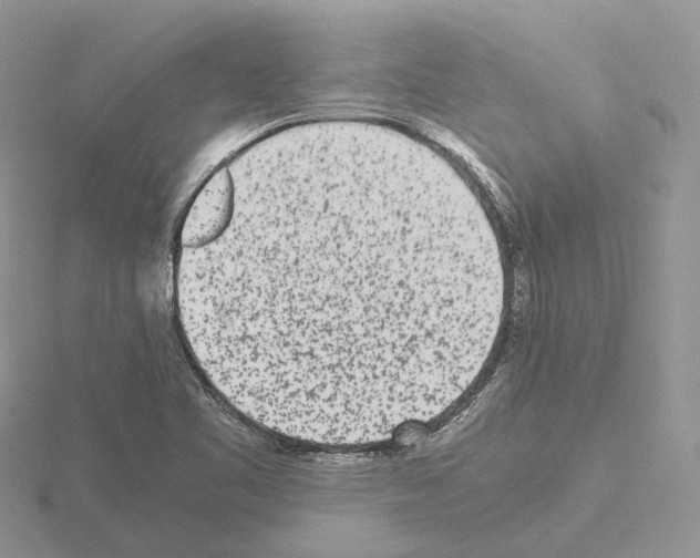 X0000115141461200912081316