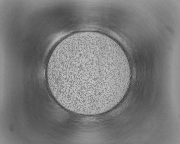 X0000115141462200912081316