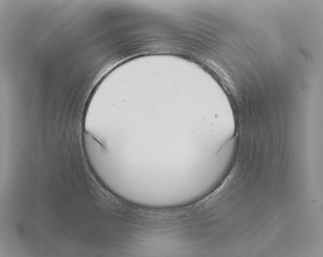 X0000115141465200912081316