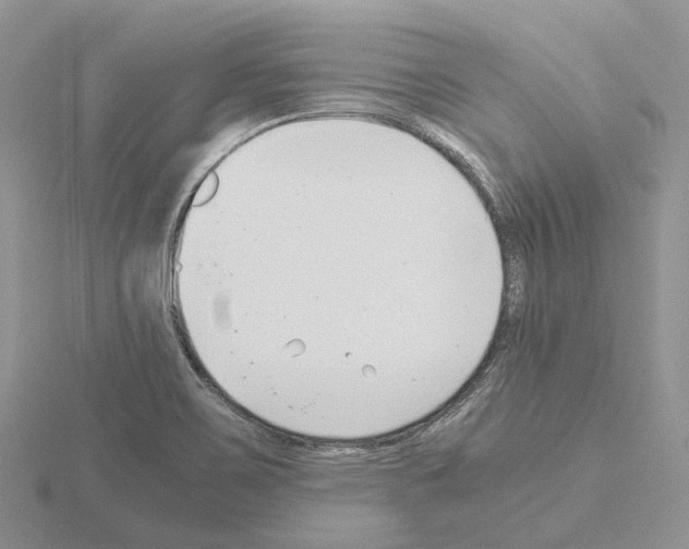 X0000115141467200912081316