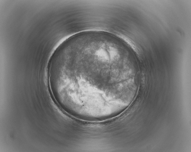 X0000115141468200912081316