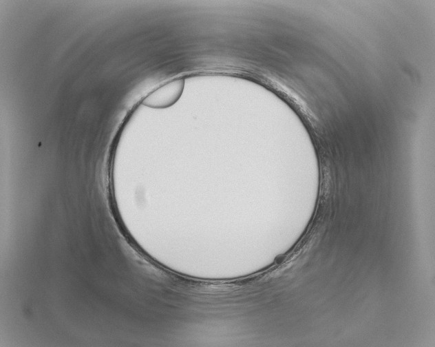 X0000115141471200912081316