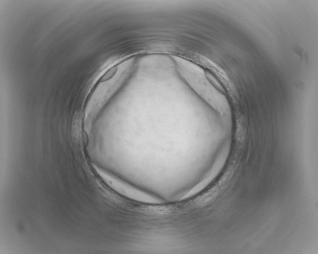 X0000115141473200912081315