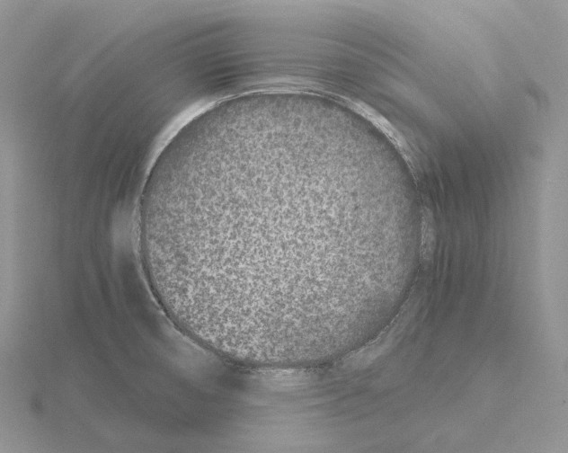 X0000115141474200912081315