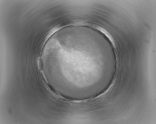 X0000115141481200912081315