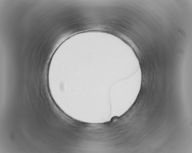 X0000115141483200912081315
