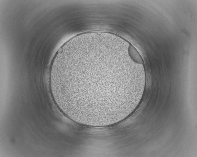 X0000115141486200912081315