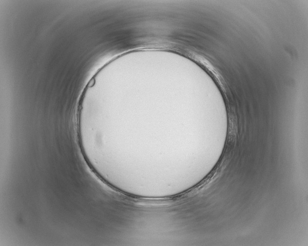 X0000115141487200912081315