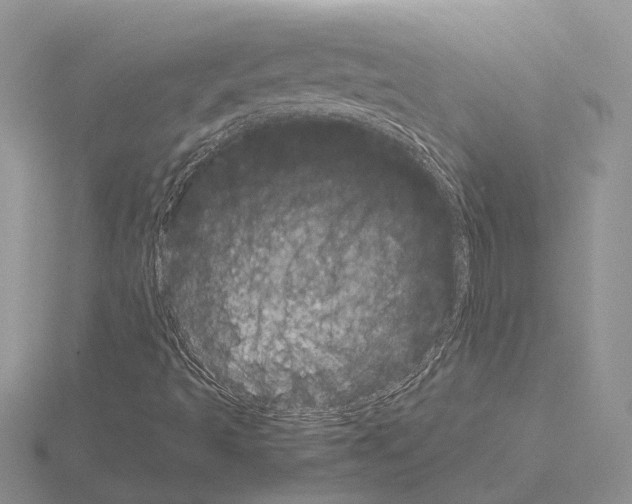 X0000115141493200912081315