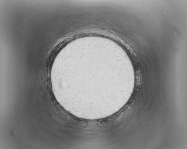 X0000115141494200912081315
