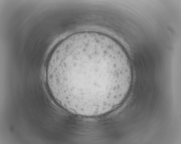 X0000115141509200912081315
