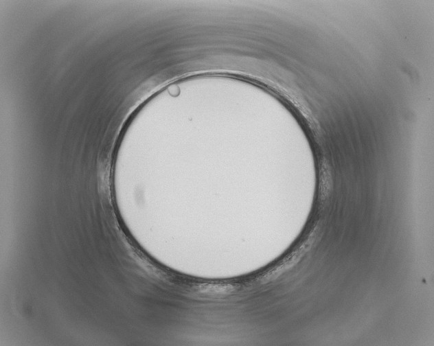 X0000115141513200912081315