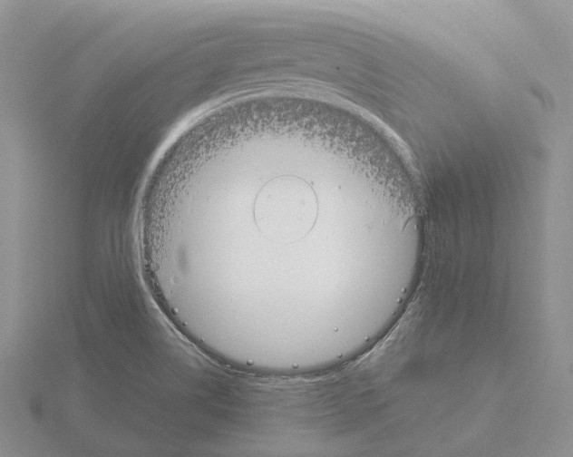 X0000115141514200912081315