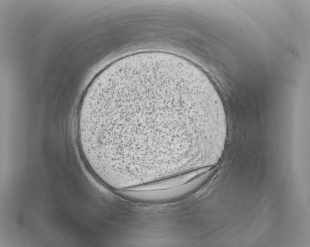 X0000115141519200912081315