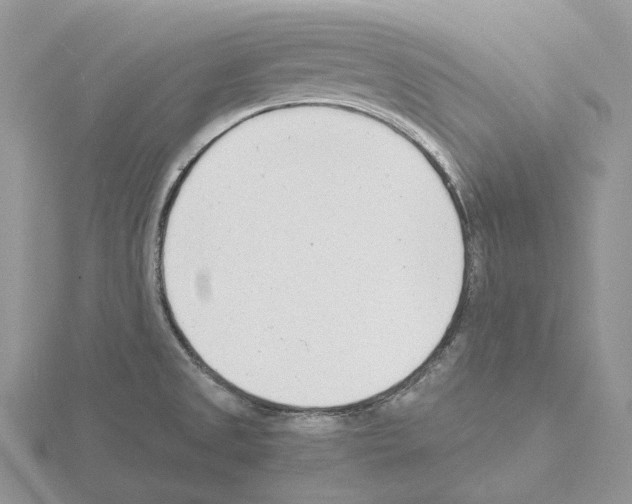 X0000115141525200912081315