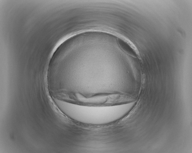 X0000115141530200912081315