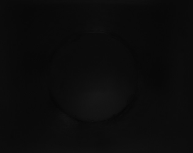 X0000115150005200911101738